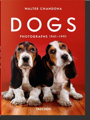 WALTER CHANDOHA. DOGS. PHOTOGRAPHS 19411991
