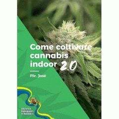 COMO CULTIVAR CANNABIS EN EL INTERIOR 2. 0