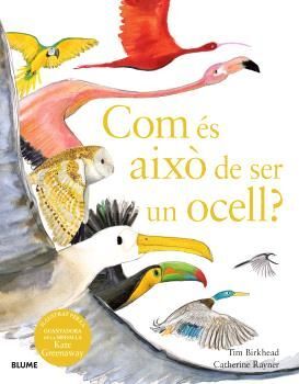 COM ÉS AIXÒ DE SER UN OCELL?