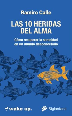 LAS 10 HERIDAS DEL ALMA