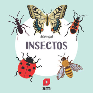 INSECTOS. COLECCION NATURALEZA