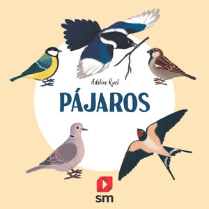 PAJAROS. . COLECCION NATURALEZA