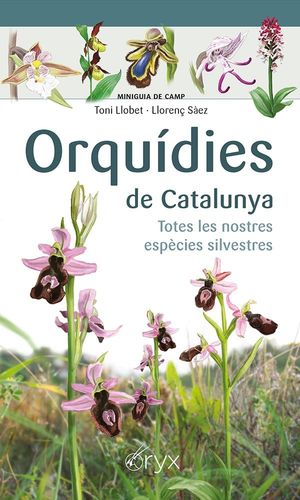 MINIGUIA DE CAMP. ORQUÍDIES DE CATALUNYA