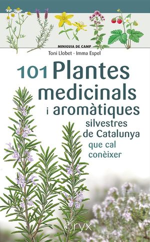 MINIGUIA DE CAMP. 101 PLANTES MEDICINALS I AROMATIQUES SILVESTRES DE CATALUNYA QUE CAL CONEIXER