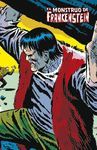 EL MONSTRUO DE FRANKENSTEIN