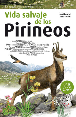 VIDA SALVAJE DE LOS PIRINEOS