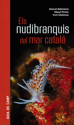 ELS NUDIBRANQUIS DEL MAR CATALÀ