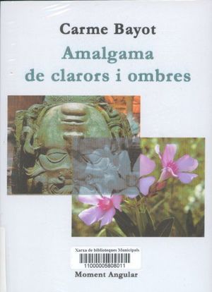 AMALGAMA DE CLARORS I OMBRES