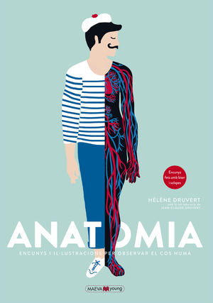 ANATOMIA. ENCUNYS I IL-LUSTRACIONS PER OBSERVAR EL COS HUMÀ