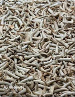 AI WEIWEI. RESTABLECER MEMORIAS