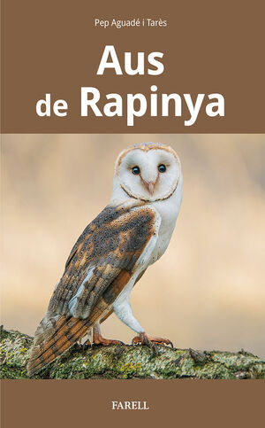 AUS DE RAPINYA