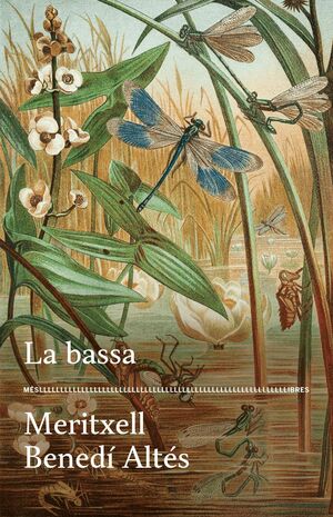LA BASSA
