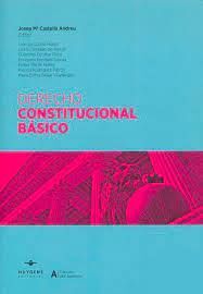DERECHO CONSTITUCIONAL BASICO 2023