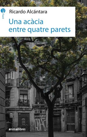 L'ISARD 16. UNA ACÀCIA ENTRE QUATRE PARETS