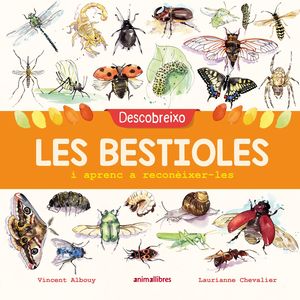 DESCOBREIXO LES BESTIOLES I APRENC A RECONÈIXER-LE