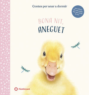 BONA NIT, ANEGUET. CONTES PER ANAR A DORMIR