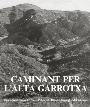 CAMINANT PER LALTA GARROTXA