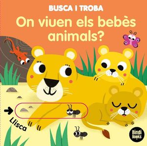 BUSCA I TROBA. ON VIUEN ELS BEBÈS ANIMALS?