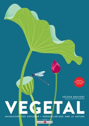 VEGETAL. ANIMACIONS PER EXPLORAR I MERAVELLAR-NOS AMB LA NATURA