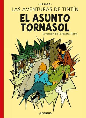 EL ASUNTO TORNASOL E.E.