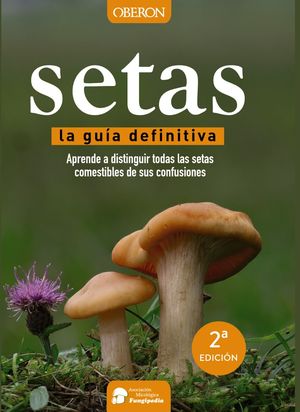 SETAS. LA GUIA DEFINITIVA