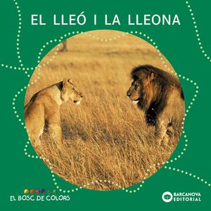 EL LLEÓ I LA LLEONA (LLETRA PAL/LLIGADA)
