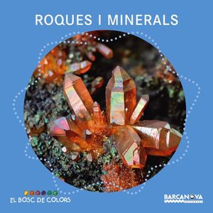 ROQUES I MINERALS (LLETRA PAL/LLIGADA)