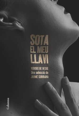 SOTA EL MEU LLAVI