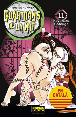 GUARDIANS DE LA NIT 11 CATALÀ (NUEVA EDICIÓN)