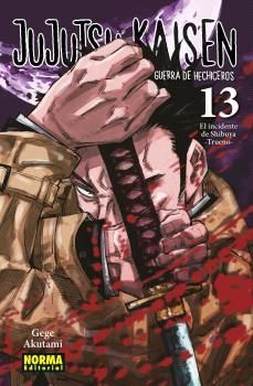 JUJUTSU KAISEN 13 (NE)