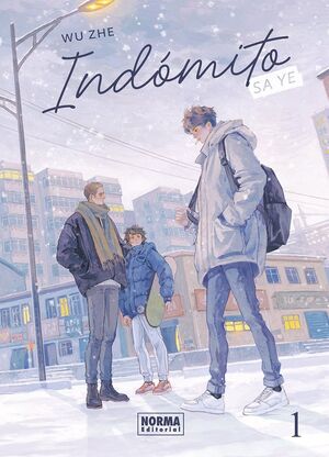 INDOMITO: SA YE 01