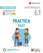 PRACTICAMAT 6 TRIM ACT (COMUNITAT ZOOM)