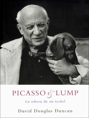 PICASSO & LUMP