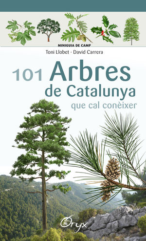 MINIGUIA DE CAMP. 101 ARBRES DE CATALUNYA QUE CAL CONEIXER