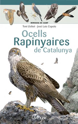 MINIGUIA DE CAMP. OCELLS RAPINYAIRES DE CATALUNYA