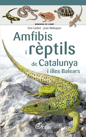 MINIGUIA DE CAMP. AMFIBIS I RÈPTILS DE CATALUNYA I ILLES BALEARS