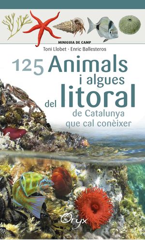 MINIGUIA DE CAMP. 125 ANIMALS I ALGUES DEL LITORAL DE CATALUNYA