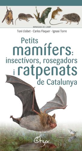 MINIGUIA DE CAMP. PETITS MAMÍFERS: INSECTÍVORS, ROSEGADORS I RATPENA