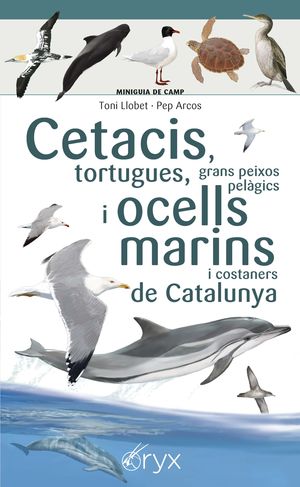 MINIGUIA DE CAMP. CETACIS, TORTUGUES, GRANS PEIXOS PELÀGICS I OCELLS MARINS DE CATALUNYA
