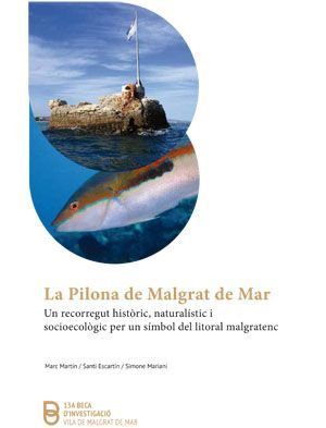 LA PILONA DE MALGRAT DE MAR