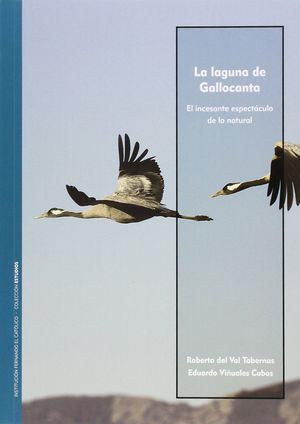 LA LAGUNA DE GALLOCANTA. EL INCESANTE ESPECTÁCULO DE LO NATURAL