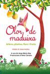 OLOR DE MADUIXA